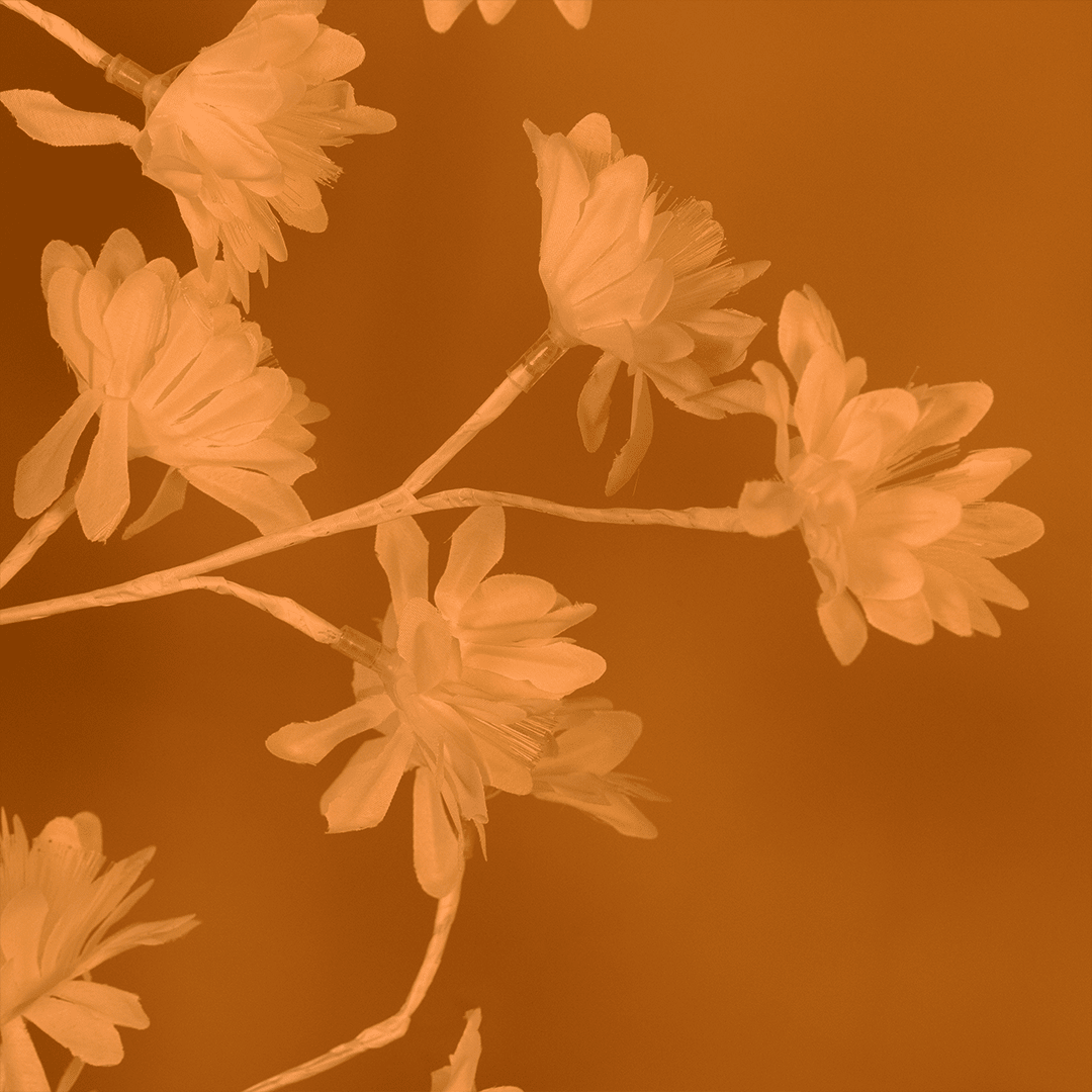 Blossom Tree Light – Warm Decorative Flower Lamp - Memories Insite