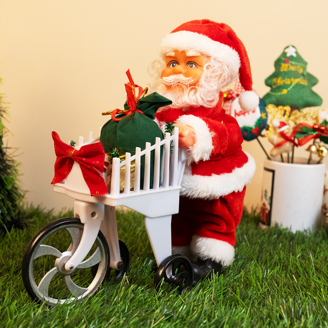 The Christmas Delivery Santa - Memories Insite