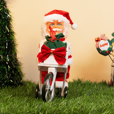 The Christmas Delivery Santa - Memories Insite