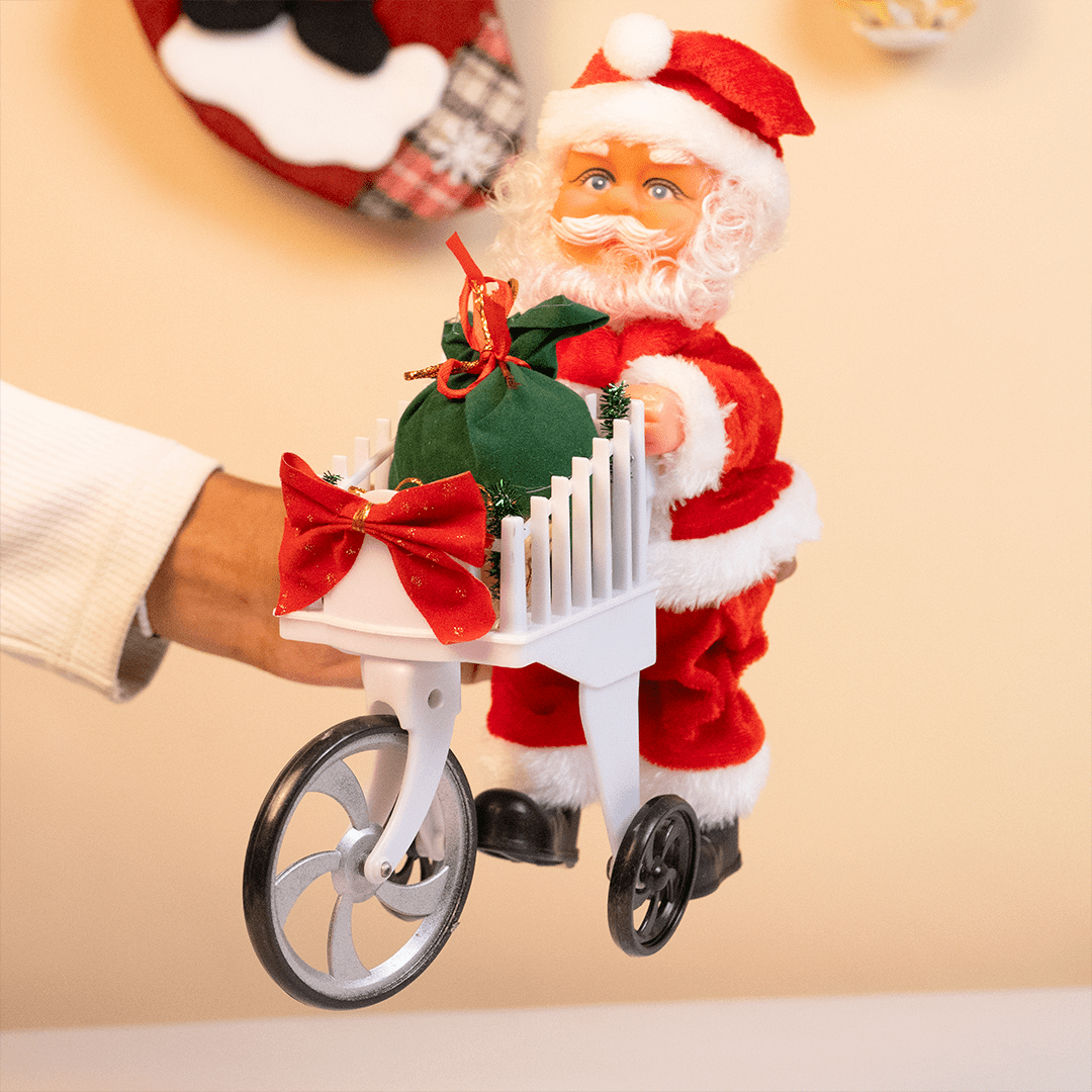 The Christmas Delivery Santa - Memories Insite