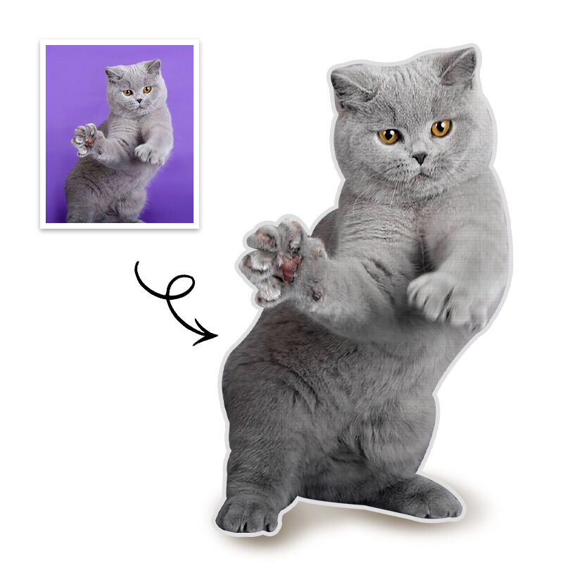 Customized Pet Full Body Photo Pillow 3D Portrait Pillow Grey Cat Gift for Friend