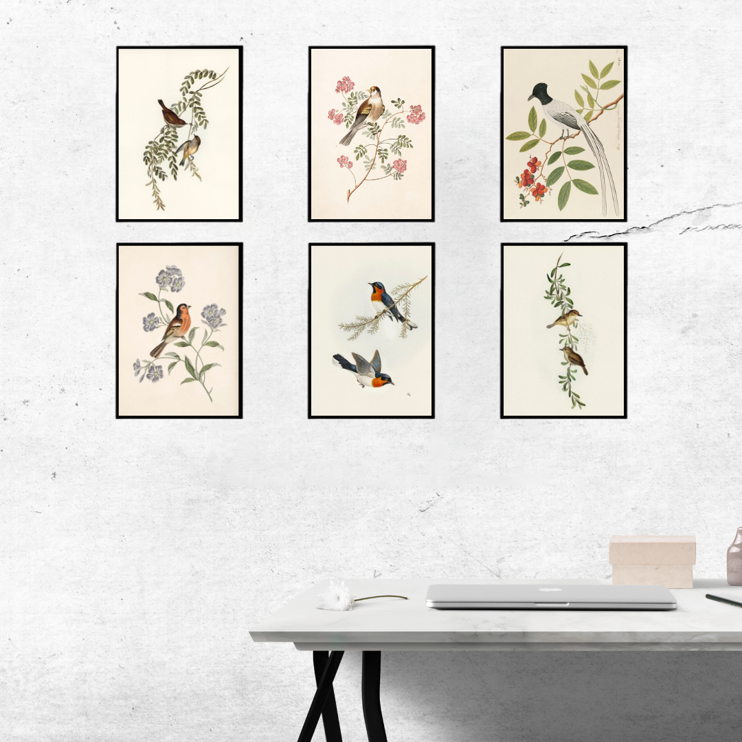 Vibrant Bird & Floral Wall Art Set of 6