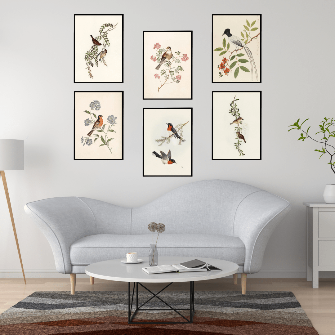 Vibrant Bird & Floral Wall Art Set of 6 - Memories InsiteBIRD & FLORAL DESIGN WALL FRAME - WHITE SET OF 6