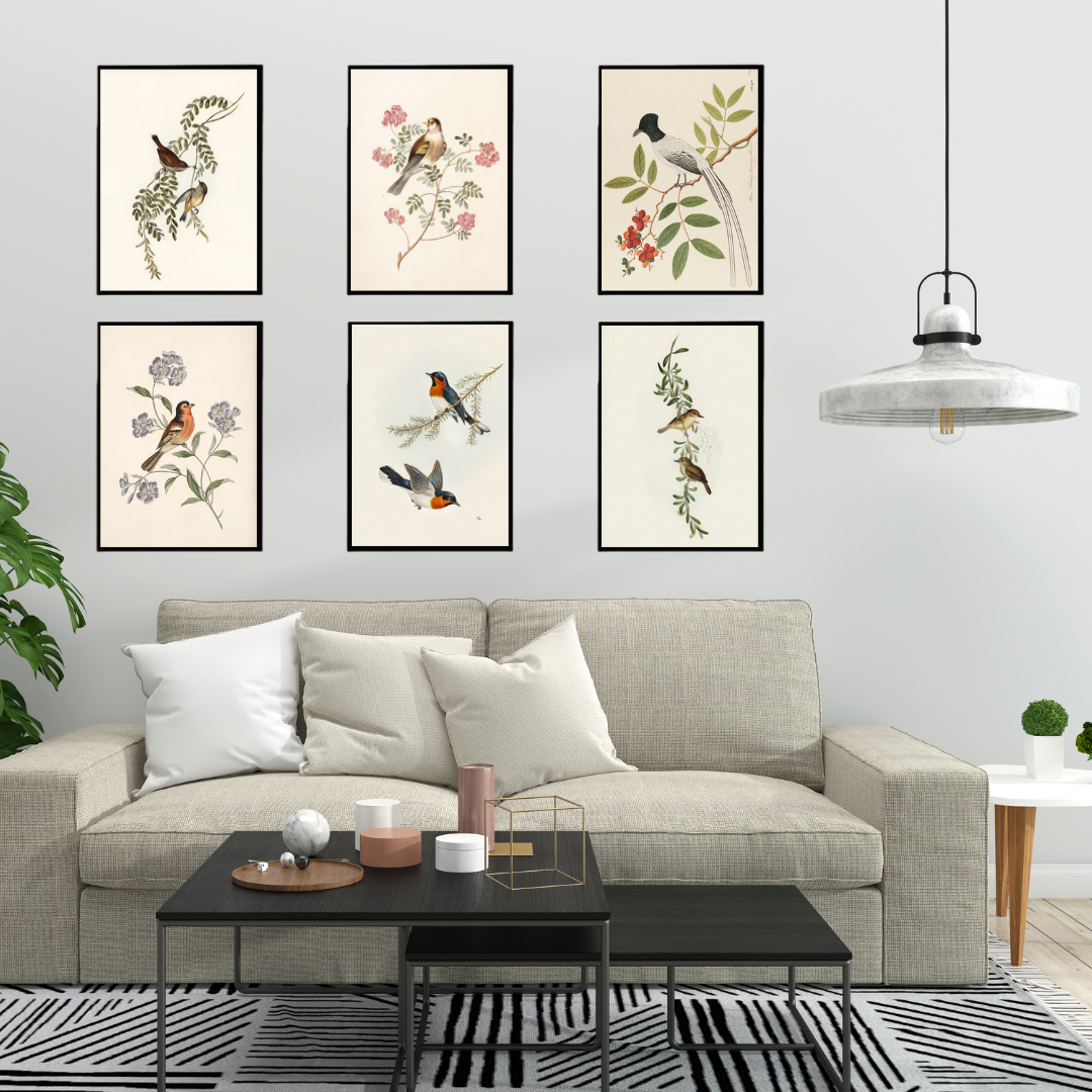 Vibrant Bird & Floral Wall Art Set of 6