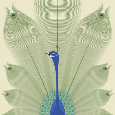Serene Majesty — Minimal Peacock Wall Art - Memories InsiteSERENE MAJESTY PEACOCK ACRYLIC WALL FRAME