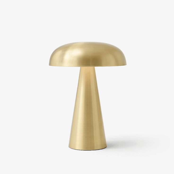 Chromatic Mushroom™ Lamp