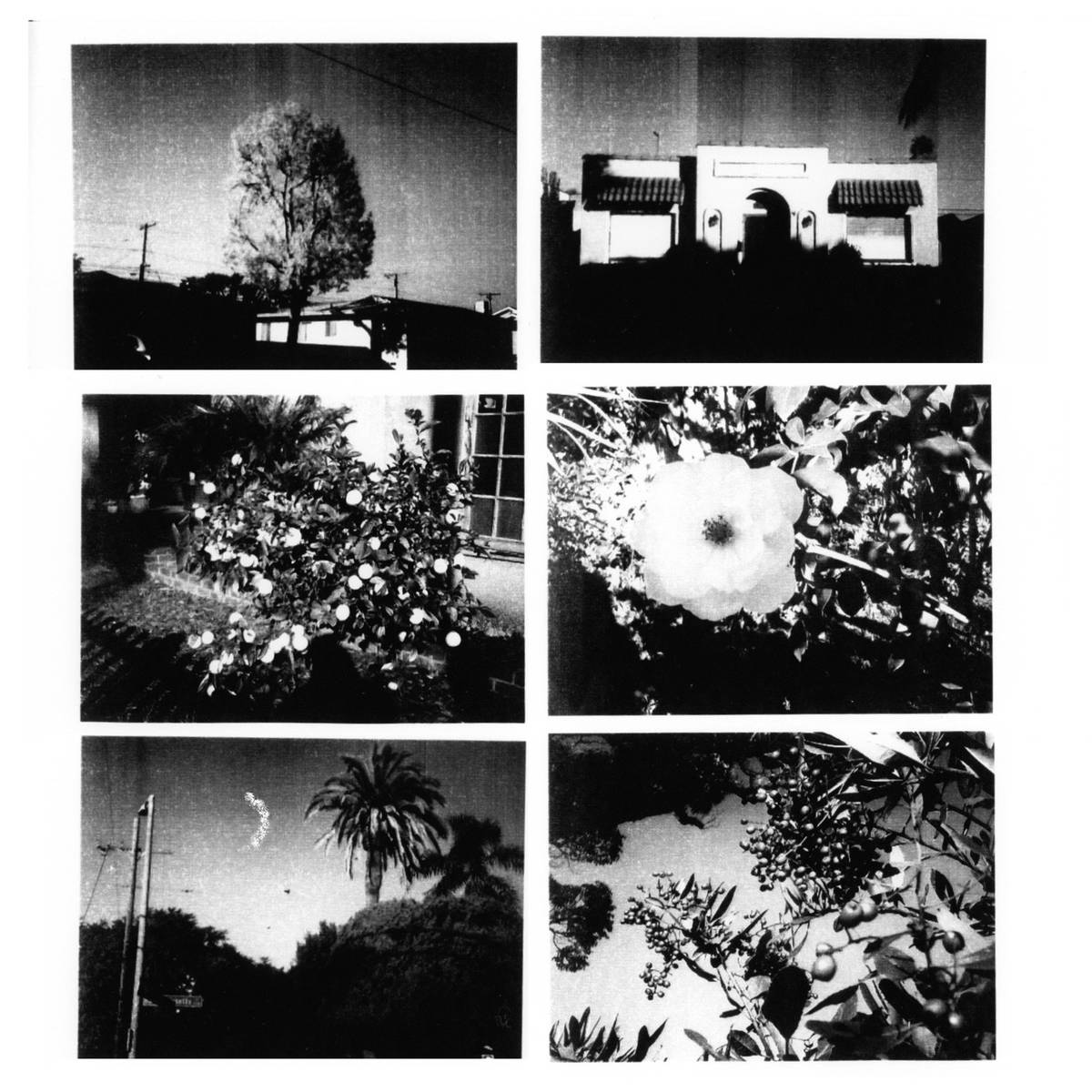 Instant™ Print Digital Camera- Random colours