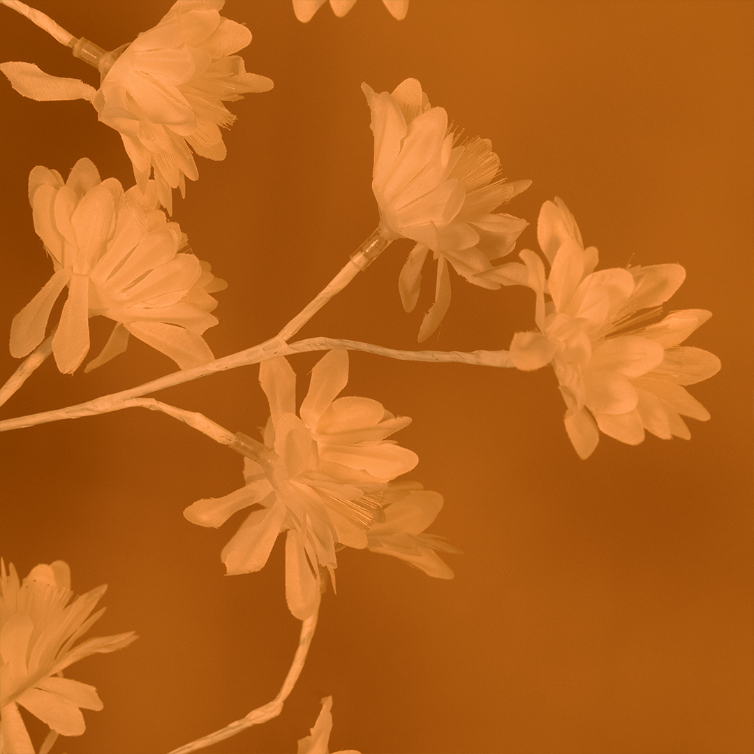 Blossom Tree Light – Warm Decorative Flower Lamp