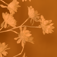 Blossom Tree Light – Warm Decorative Flower Lamp