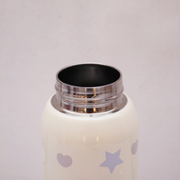 Cute Bear & Star Stainless Steel Sipper Bottle