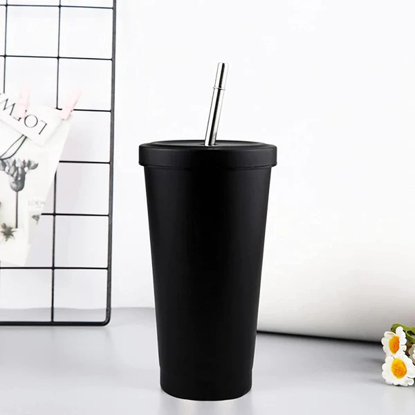 Double Wall Vacuum Insulated Tumbler with Steel Straw and Lid