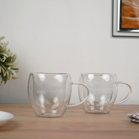 Double Wall Glass Coffee Cup with Handle