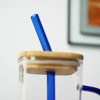 Glass Mug with Bamboo Lid & Reusable Straw | Clear Drinking Glass with Handle for Coffee
