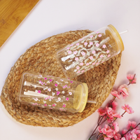 Set-2 Cute Reusable Water Glass