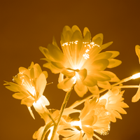 Blossom Tree Light – Warm Decorative Flower Lamp