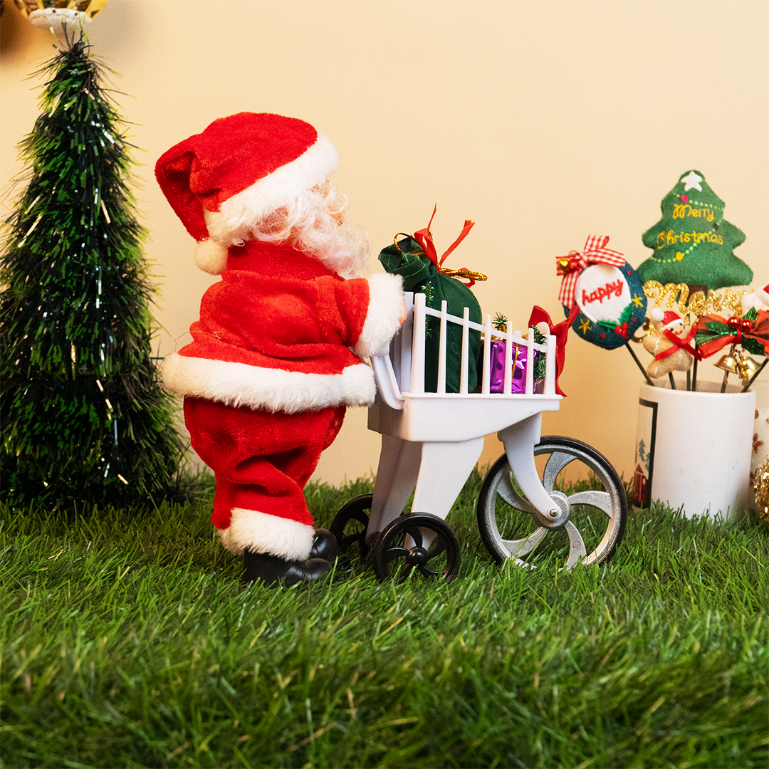 The Christmas Delivery Santa