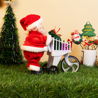 The Christmas Delivery Santa