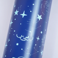 Galaxy Print Stainless Steel Water Bottle