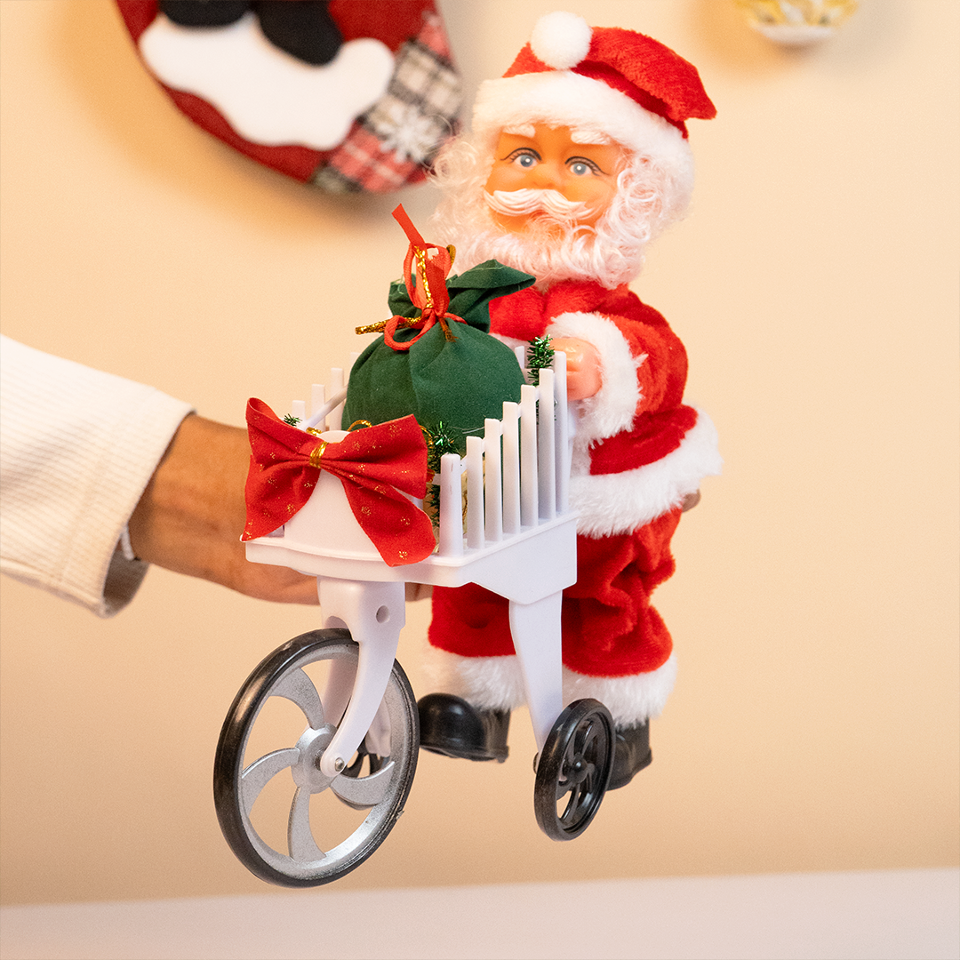 The Christmas Delivery Santa