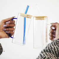 Glass Mug with Bamboo Lid & Reusable Straw | Clear Drinking Glass with Handle for Coffee