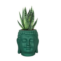 Small Buddha 3.5" Ceramic Pots for Indoor Plants, Planters, Flower, Pots, gamla,Outdoor,Balcony,Home,Round,Garden, Office Decor,Succulent (H - 9 X D - 8.5 cm)