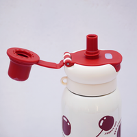 CherryPop Stainless Steel Sipper Bottle
