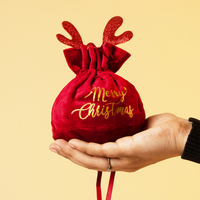 Christmas Velvet Gift Bag