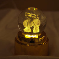 Crystal Ball LED Night Lamp with Warm Glow ( random design )