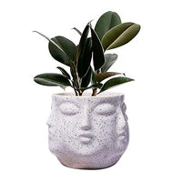 Face White Ceramic Pots for Indoor Plants, Planters, Flower, Pots, gamla, Outdoor, Balcony, Home, Garden, Office Decor, Succulent Pot(H - 10 X D - 10 cm)