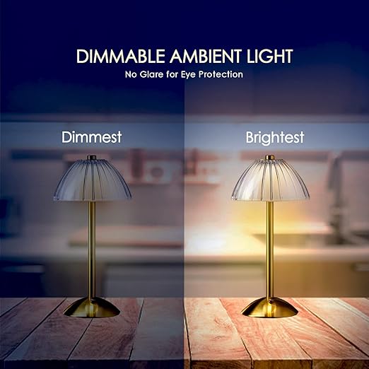 Zeno Lamp