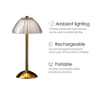 Zeno Lamp