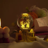 Crystal Ball LED Night Lamp with Warm Glow ( random design )