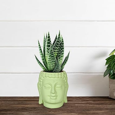 Small Buddha 3.5" Ceramic Pots for Indoor Plants, Planters, Flower, Pots, gamla,Outdoor,Balcony,Home,Round,Garden, Office Decor,Succulent (H - 9 X D - 8.5 cm) (LIHGT GREEN)