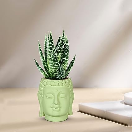 Small Buddha 3.5" Ceramic Pots for Indoor Plants, Planters, Flower, Pots, gamla,Outdoor,Balcony,Home,Round,Garden, Office Decor,Succulent (H - 9 X D - 8.5 cm) (LIHGT GREEN)