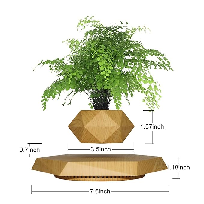 Gravity-Defying Wooden Planter - Levitates and Rotates | Ideal for Bonsai | Elegant Home and Office Decor | Perfect Unique Gift