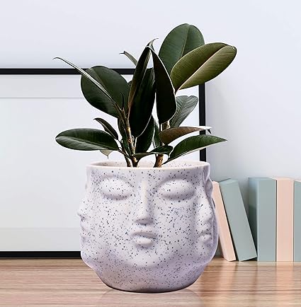 Face White Ceramic Pots for Indoor Plants, Planters, Flower, Pots, gamla, Outdoor, Balcony, Home, Garden, Office Decor, Succulent Pot(H - 10 X D - 10 cm)