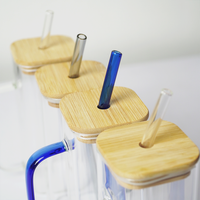 Glass Mug with Bamboo Lid & Reusable Straw | Clear Drinking Glass with Handle for Coffee