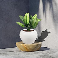 Cloud Apple Small White Ceramic Pots for Indoor Plants, Planters, Flower, Pots, gamla,Outdoor,Balcony,Home,Round,Garden, Office Decor,Succulent