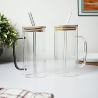 Glass Mug with Bamboo Lid & Reusable Straw | Clear Drinking Glass with Handle for Coffee