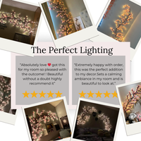 MEMORIES INSITE™BRANCH LIGHT CHERRY BLOSSOM TREE BRANCH LIGHTING