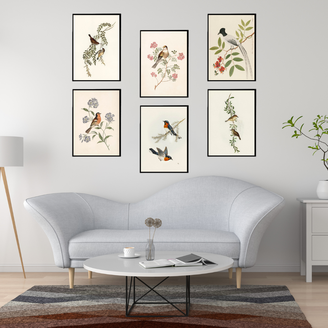 Vibrant Bird & Floral Wall Art Set  of 6