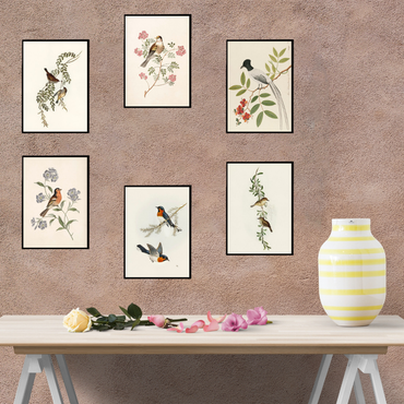 Vibrant Bird & Floral Wall Art Set  of 6