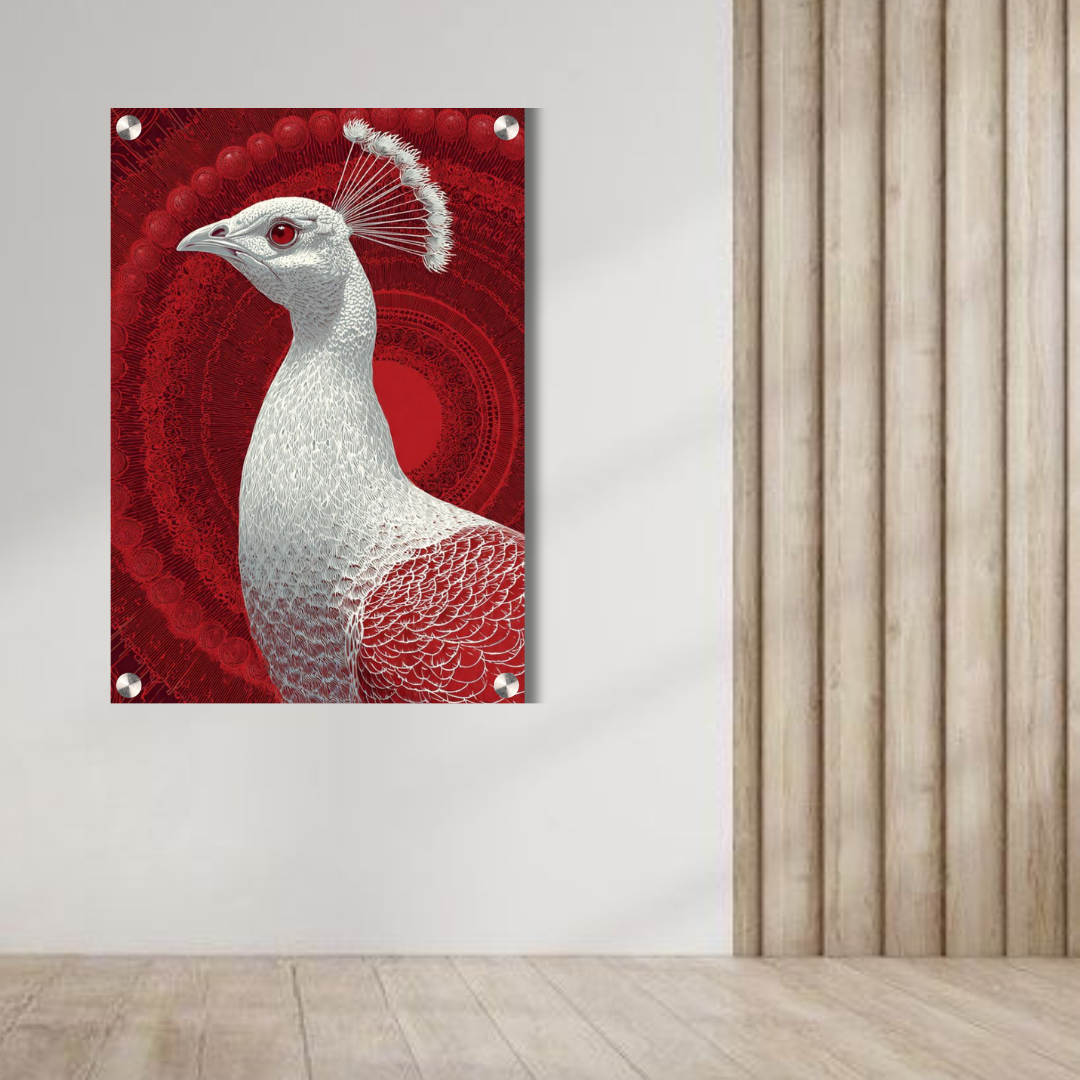 Royal White Peacock Acrylic Wall Decor — Luxury Glossy HD Art Frame