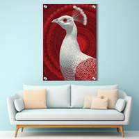 Royal White Peacock Acrylic Wall Decor — Luxury Glossy HD Art Frame