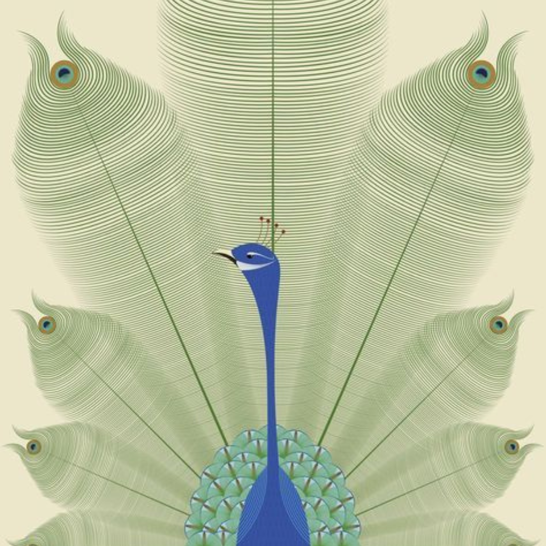 Serene Majesty — Minimal Peacock Wall Art