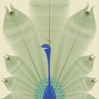 Serene Majesty — Minimal Peacock Wall Art