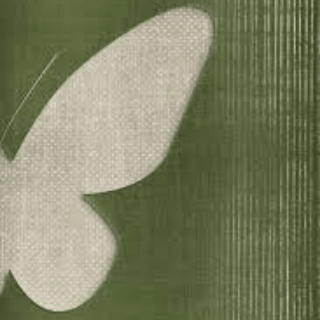 Minimalist Butterfly Duo Wall Art – Green Abstract Canvas Set - Memories InsiteBUTTERFLY DUO WALL CANVAS - STRECHED