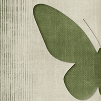 Minimalist Butterfly Duo Wall Art – Green Abstract Canvas Set - Memories InsiteBUTTERFLY DUO WALL CANVAS - STRECHED