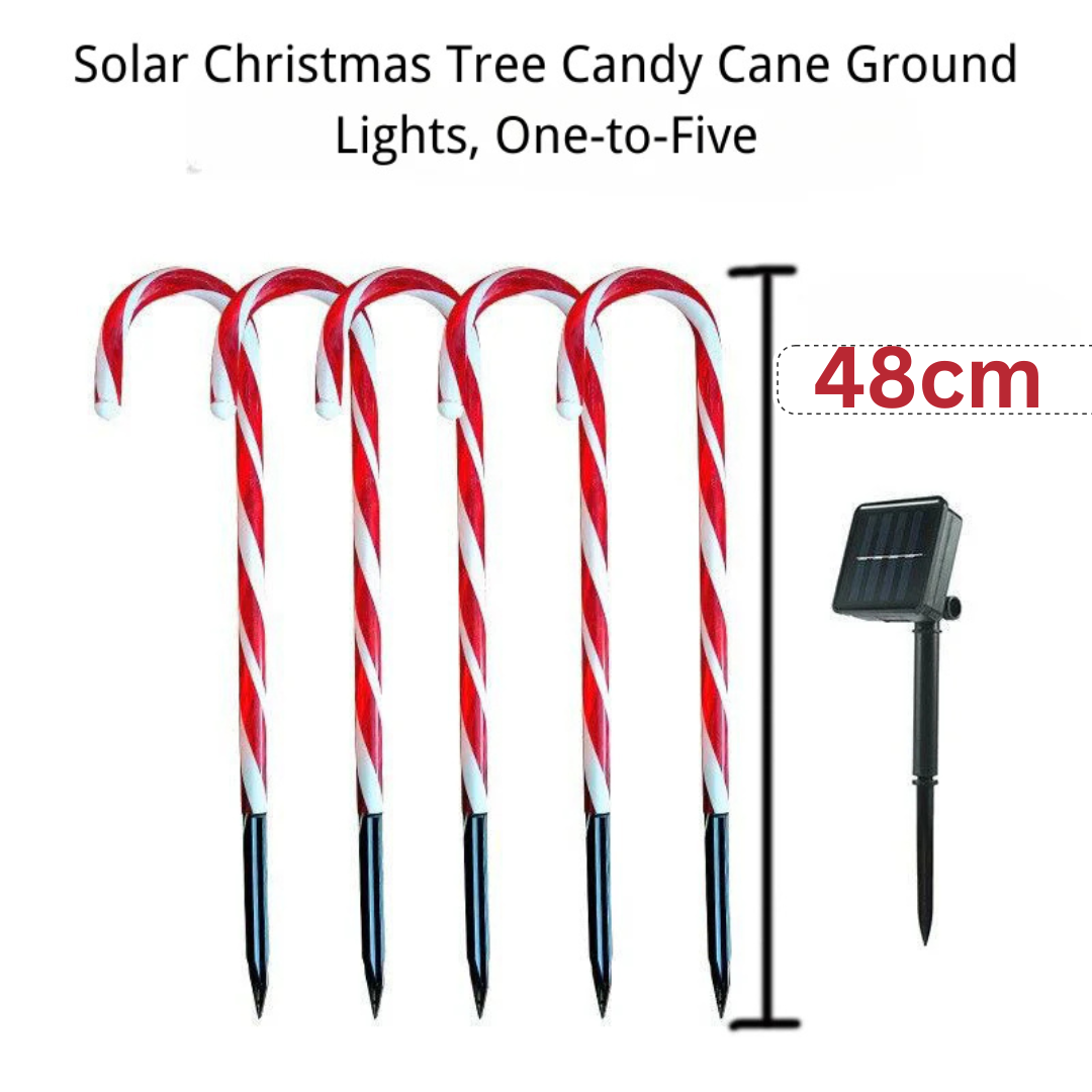 Solar Christmas Candy Cane Light