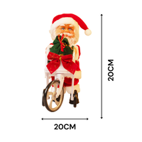 The Christmas Delivery Santa